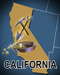 Pogo Poppit! Bingo California Badge