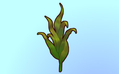 Quinn's Aquarium Ocean Forest Badge