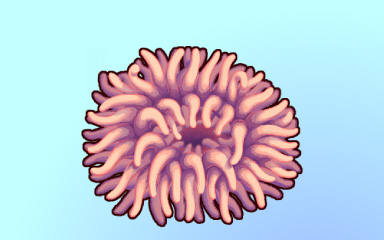 Quinn's Aquarium Clown Castle Badge