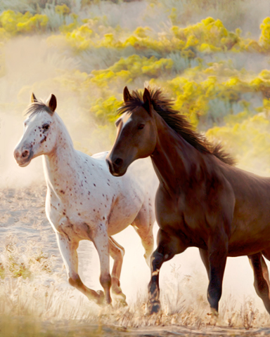 Claire Hart: Secret in the Shadows Wild Horses Badge