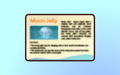 Quinn's Aquarium Jellyfish Insider Badge