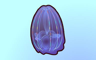 Quinn's Aquarium Brush with Fame Badge