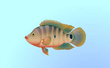 Quinn's Aquarium Fishy Friend Badge
