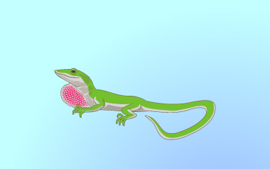 Quinn's Aquarium Little Lizard Badge