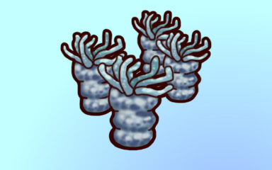 Quinn's Aquarium Collect Them All Badge