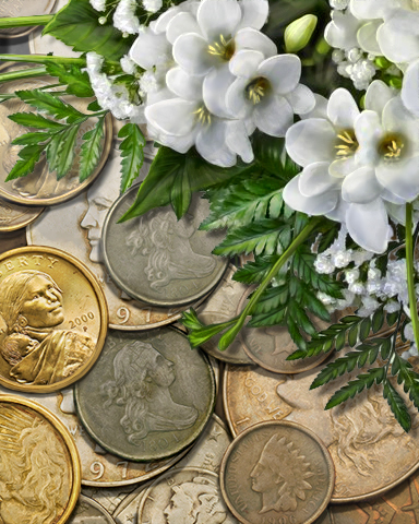 Claire Hart: Secret in the Shadows Coin Collector Badge