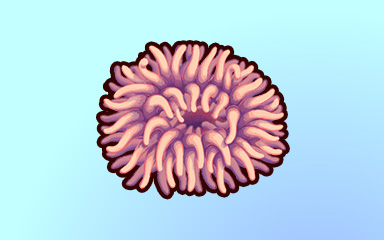 Quinn's Aquarium Home Sweet Home Badge