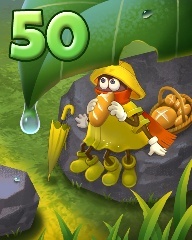Rainy Day Spider Solitaire HD Rank 50 Badge