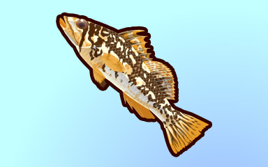 Quinn's Aquarium Big Bass Badge