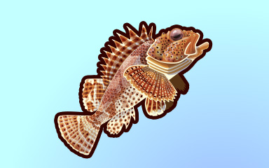 Quinn's Aquarium Sharp Swimmer Badge