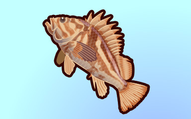 Quinn's Aquarium Rock On Badge