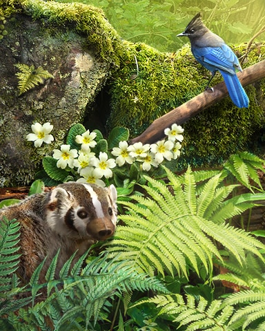 Claire Hart: Secret in the Shadows Redwood Forest Badge