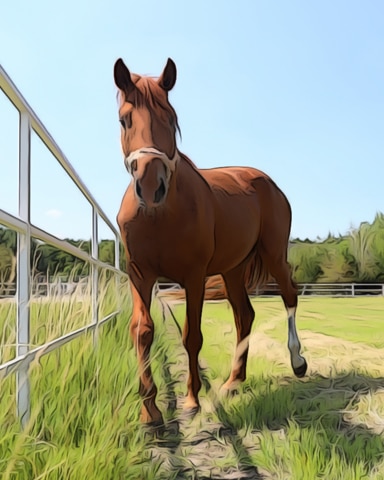 The Adventure of Silver Blaze Episode 3 Badge - StoryQuest