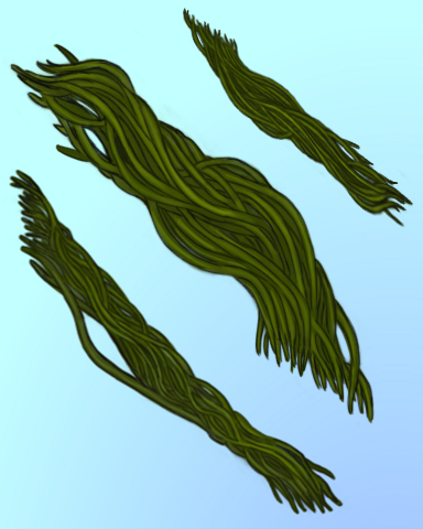 Quinn's Aquarium Wet Spaghetti Badge