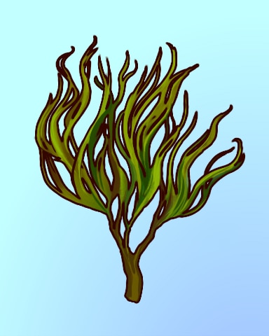 Quinn's Aquarium Kelp Me Out Badge