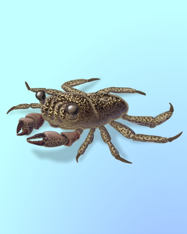 Quinn's Aquarium Crab Fest Badge