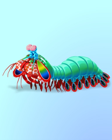 Quinn's Aquarium Shrimp In Name Only Badge