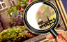Claire Hart Classic The Fake Painting Badge