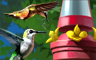 Claire Hart Classic The Hummingbirds Badge