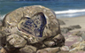 Claire Hart Classic The Forgotten Love Badge
