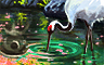 Claire Hart Classic The Tea Gardens Badge