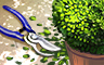 Claire Hart Classic The Topiary Garden Badge