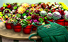 Claire Hart Classic The Growing Mystery Badge