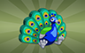 Poppit! Bingo Stuffed Peacock Badge