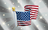 Poppit! Bingo Silver US Flag Badge