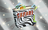 Poppit! Bingo Silver Safari Album Badge