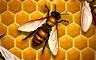 Claire Hart Classic The Bee In Your Bonnet Badge