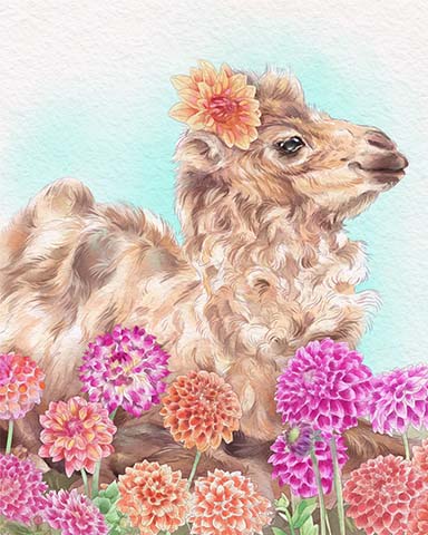 First Class Solitaire HD Camel Animals with Blooms Badge