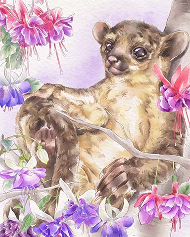 Canasta HD Kinkajou Animals with Blooms Badge