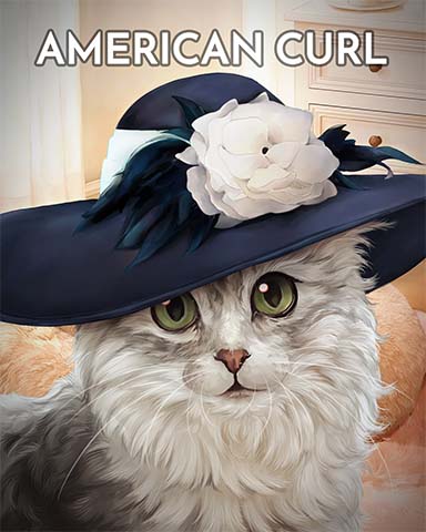 First Class Solitaire HD American Curl Cats In Hats Badge