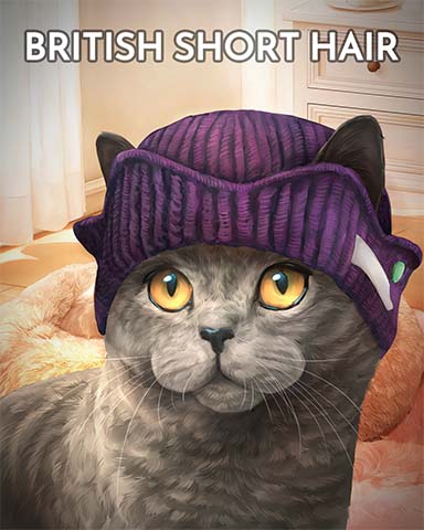 Mahjong Garden HD British Shorthair Cats In Hats Badge