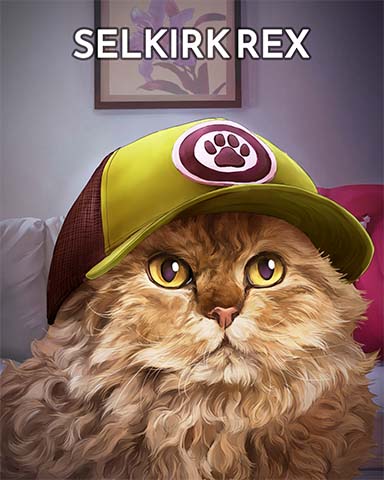 Word Search Daily HD Selkirk Rex Cats In Hats Badge