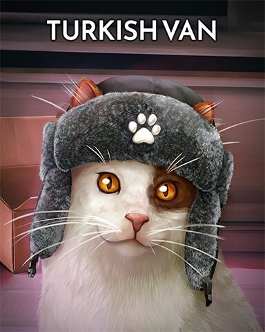Pogo Slots Turkish Van Cats In Hats Badge