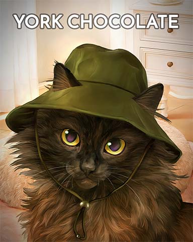 Word Whomp HD York Chocolate Cats In Hats Badge