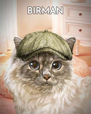 Dice City Roller HD Birman Cats In Hats Badge