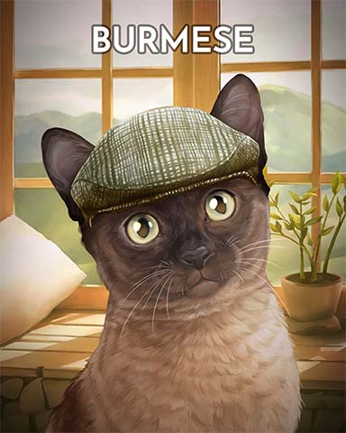 Jungle Gin HD Burmese Cats In Hats Badge
