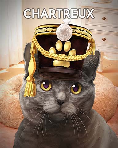 Spades HD Chartreux Cats In Hats Badge