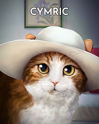 Trizzle Cymric Cats In Hats Badge