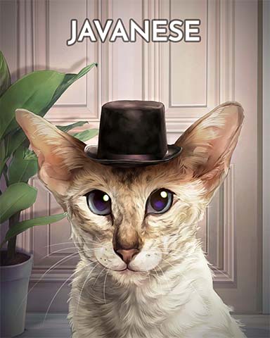 Word Whomp HD Javanese Cats In Hats Badge