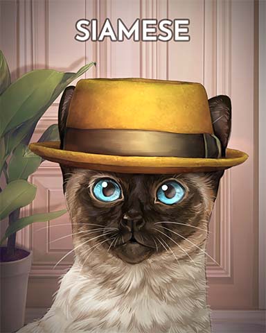 Spades HD Siamese Cats In Hats Badge