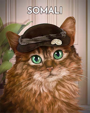 Mahjong Safari HD Somali Cats In Hats Badge