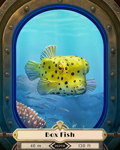 Pogo Slots Box Fish Deep Sea Creatures Badge
