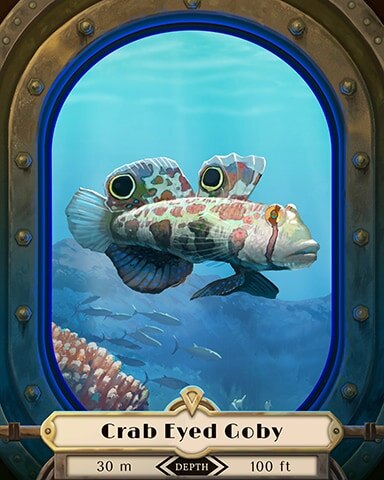 First Class Solitaire HD Crab Eyed Goby Deep Sea Creatures Badge
