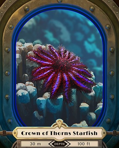 Word Whomp HD Crown of Thorns Starfish Deep Sea Creatures Badge