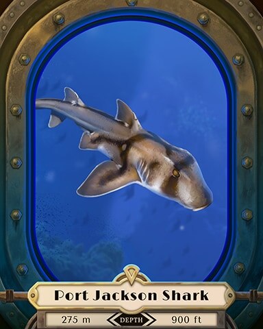 Port Jackson Shark Deep Sea Creatures Badge - Tri-Peaks Solitaire HD
