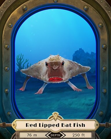 Red Lipped Bat Fish Deep Sea Creatures Badge - World Class Solitaire HD